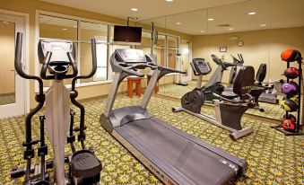 Holiday Inn Express & Suites Auburn Hills