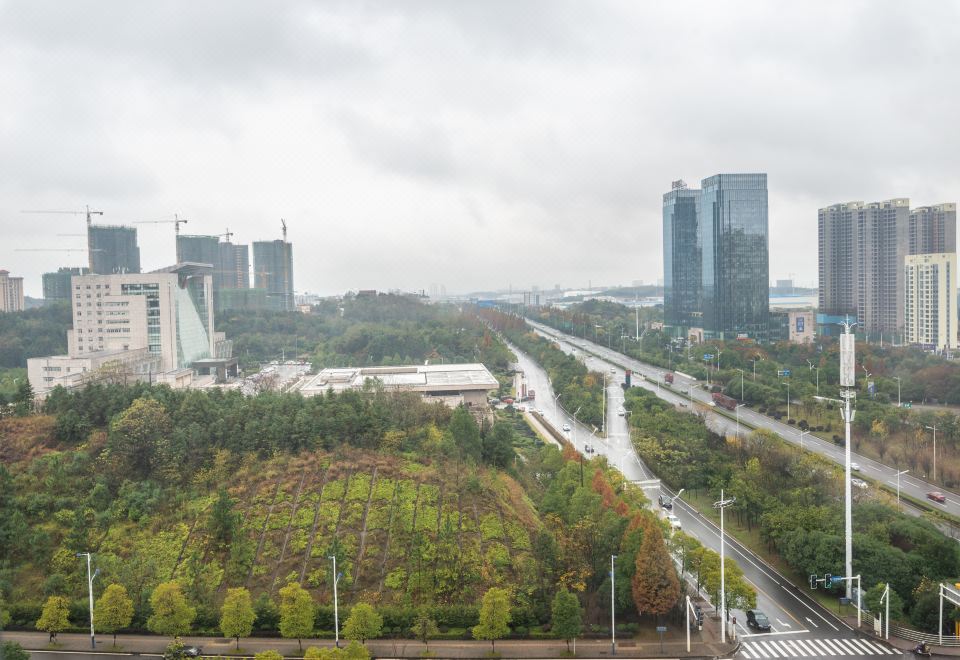 3. 비엔나 인터내셔..