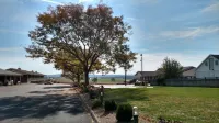 Harvest Drive Family Inn - Renovated Rooms Hotels in Intercourse