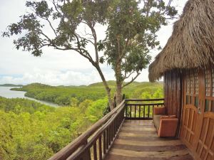 Sanctuaria Treehouses Busuanga