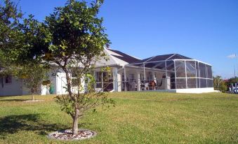 Tropical Paradise Bed & Breakfast - Housity