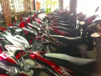 Coral Bungalows - parking