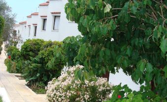 Bougainvillea Hotel Apartments - Housity