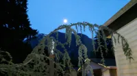 Inntowne Motel - Mountain view