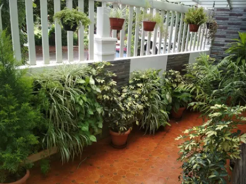 白色城堡-精品公寓酒店