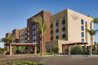 SunCoast Park Hotel Anaheim Resort, Tapestry by Hilton Hotels in Anaheim