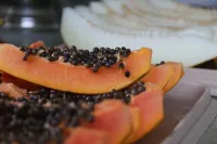 Pousada Paraíso do Atlântico - Breakfast
