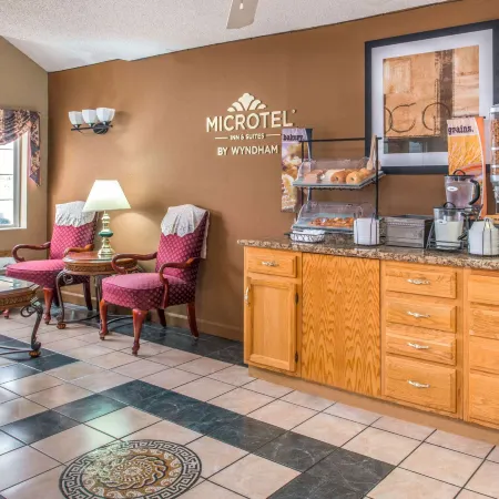 Microtel Inn & Suites by Wyndham Lincoln