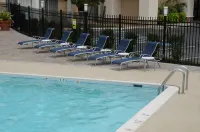 Holiday Inn COLUMBIA EAST-JESSUP by IHG - Pools