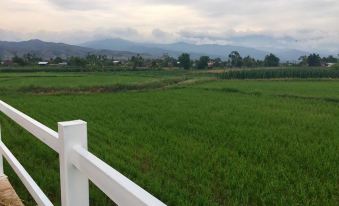 Pua Good View Home Stay