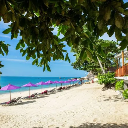 White Sand Samui Resort