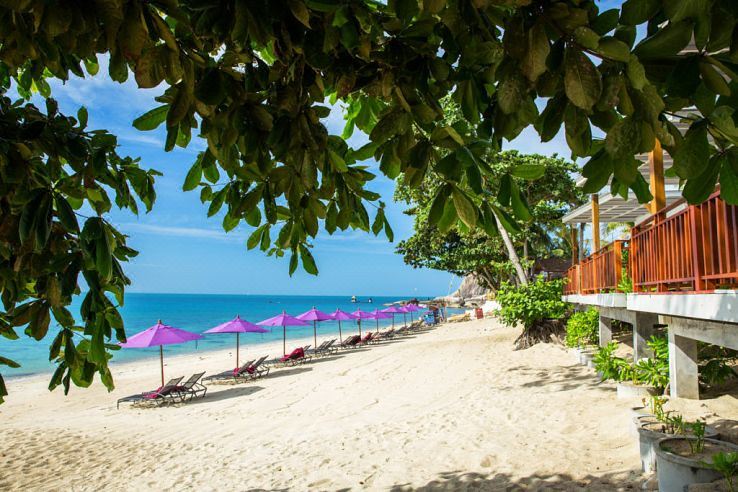 화이트 샌드 사무이 리조트 썸네일