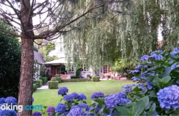 威洛斯洛奇床和早餐