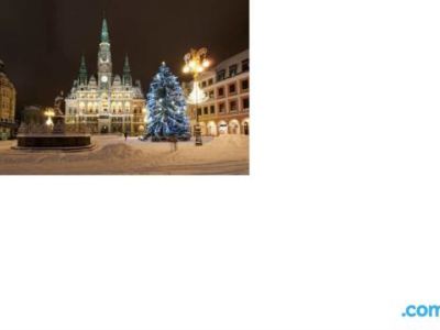 Apartmány Friday
