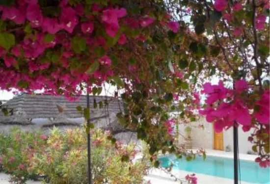 門澤爾卡哈酒店