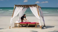 Dusit Ajman Resort & Villas - Meerblick