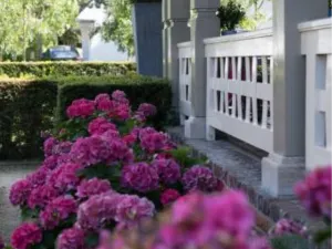 Romantik B&B Zonnehuis