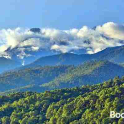 Chimbalhar Heights Others