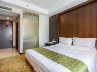 泰仕登国际酒店(北京首都机场店) - 豪华大床房
