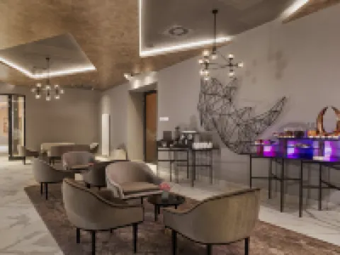 紐倫堡麗亭酒店 中弗蘭肯行政區酒店