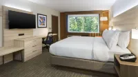 Holiday Inn Express & Suites Medina Hotels in Medina Township