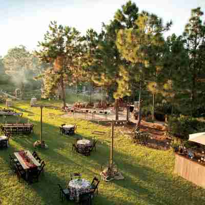 JW Marriott Orlando Grande Lakes Hotel Exterior