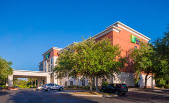 Holiday Inn Express & Suites Tampa-Anderson RD/Veterans Exp