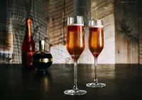 明尼阿波利斯市區皇家索尼斯塔酒店 - 酒吧