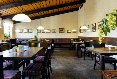 Hotel Schleifmühle Отели в г. Дильмиссен