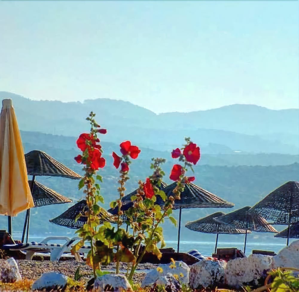 Assos Kadırga Otel