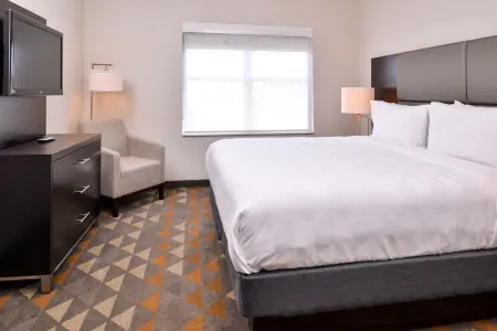 Holiday Inn & Suites Dallas-Addison