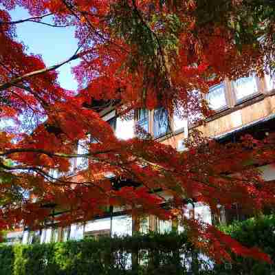 Nara Hotel Hotel Exterior