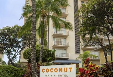 Coconut Waikiki Hotel Popular Hotels Photos