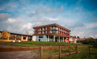 K-Triumf Resort