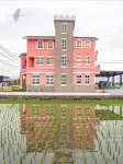 Honeysuckle Family Castle