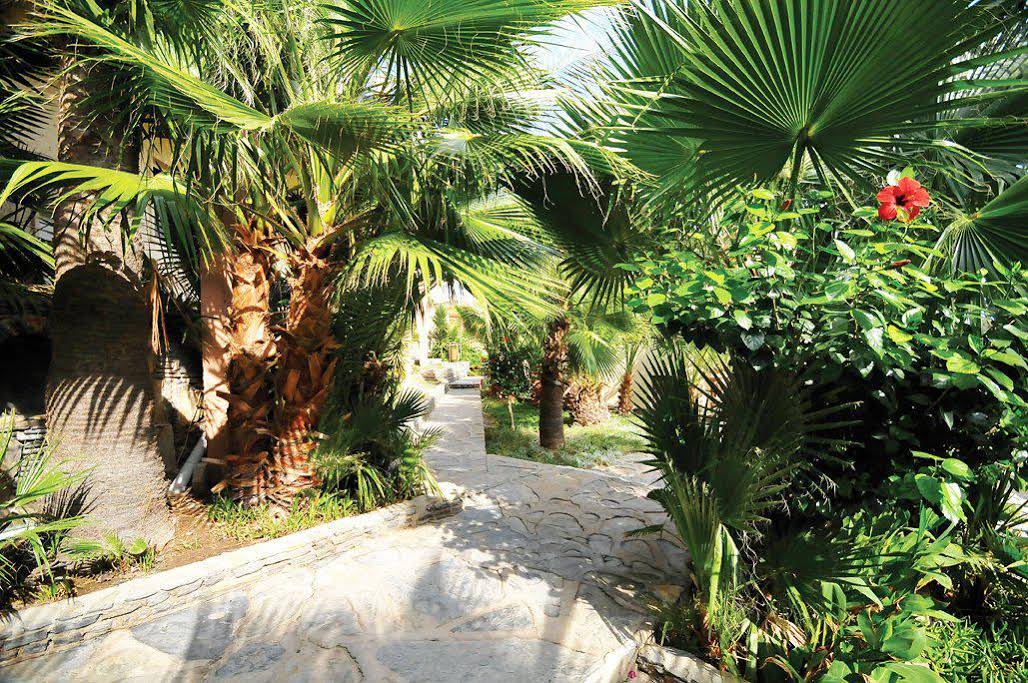 Palm Garden Gumbet Hotel – All Inclusive