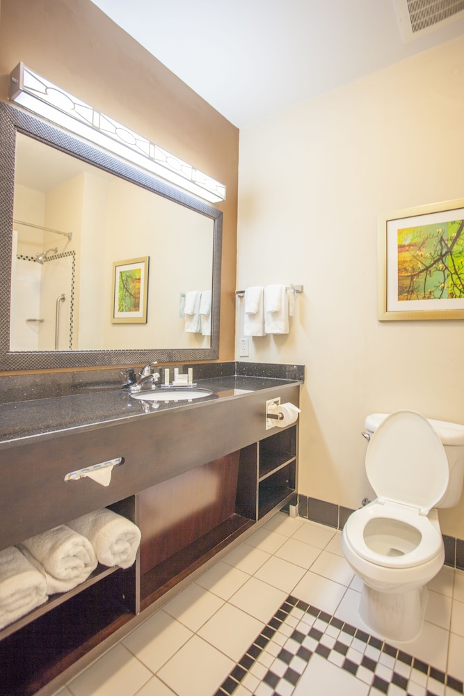 Fairfield Inn & Suites Houston Channelview