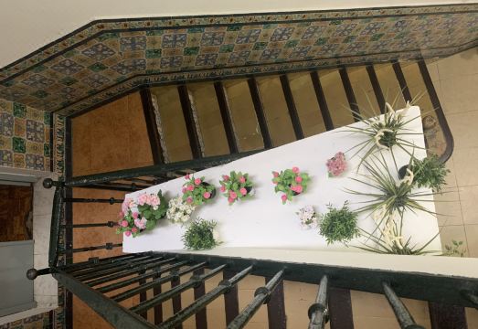 호스탈 알코비아