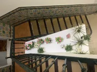 Hostal Alcobia Các khách sạn ở Sevilla