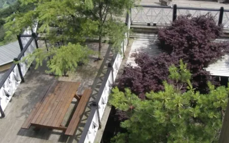 南投清境娜嚕彎渡假景觀木屋民宿