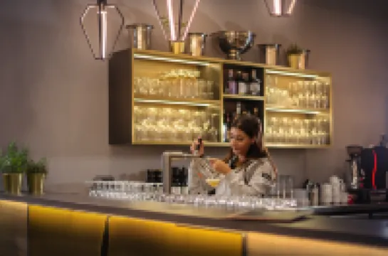 斯圖加特展覽中心the niu Mesh假日飯店