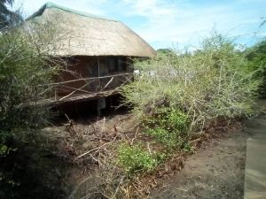 莫菲經濟型野生動物園舄湖露營酒店