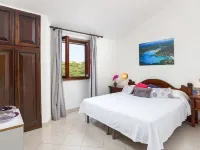 Bougainvillae Trilo