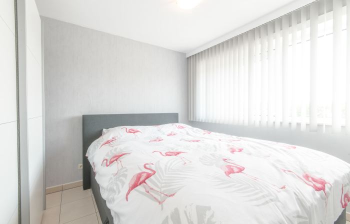 Queen Mary 302 with Balcony