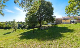 a large tree on a grassy hillside , with a house in the background and a boat parked nearby at Mila