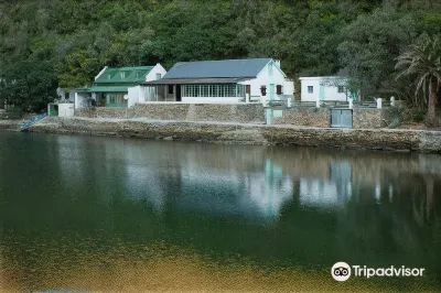 시 파라다이스 윌더니스 비치 주변 호텔