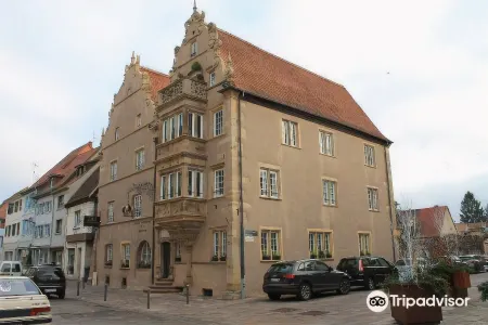 Hotel Restaurant l'Orchidee Отели в г. Рюстенхар