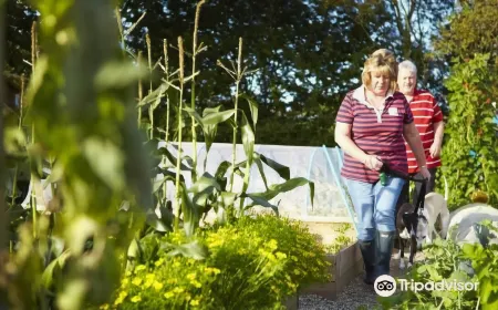 Filey Grange Guest House Отели рядом с достопримечательностью «Файли Бич»