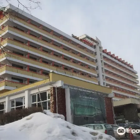 Hotel Sinaia