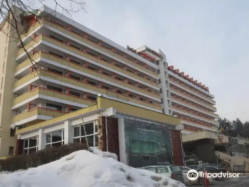 Hotel Sinaia - spa